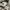 Adidas Streetwear Casual Casual shoe Pria white yellow photo 2