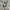 Adidas Streetwear Casual Casual shoe Pria white black photo 8