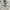 Adidas Streetwear Casual Casual shoe Pria white black photo 1