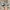 Adidas Streetwear Casual Casual shoe Pria white black photo 3