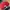 Adidas Streetwear Y2K Hat Pria red black photo 8