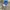 Adidas Streetwear Casual Casual shoe Pria white blue photo 1