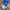 Adidas Streetwear Casual Casual shoe Pria white blue photo 7