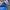Adidas Streetwear Casual Casual shoe Pria white blue photo 8