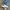 Adidas Streetwear Casual Casual shoe Pria white blue photo 2