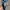 Adidas Streetwear Casual Casual shoe Pria white black photo 4