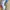 Adidas Streetwear Casual Casual shoe Pria white black photo 4