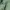 Uniqlo Vintage Streetwear Sweater Pria green photo 5