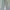 Pull & Bear Streetwear Skater Jeans Pria Gray
