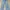 Uniqlo Vintage Streetwear Jeans Pria gray photo 1