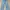Uniqlo Vintage Streetwear Jeans Pria Gray