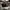 Casual Hat Pria black photo 5