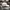 Casual Hat Pria white photo 5