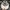 Casual Hat Pria white photo 6