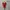Casual Wanita red photo 1