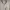 Guess Y2K Bomber jacket Pria white photo 3