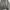 The North Face Y2K Bomber jacket Pria gray photo 1