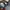 The North Face Y2K Bomber jacket Pria gray photo 2