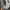 The North Face Y2K Bomber jacket Pria gray photo 3