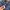 Canterbury Vintage Hoody Pria navy photo 5
