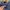 Canterbury Vintage Hoody Pria navy photo 4