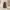 Japanese brand Vintage Casual Skirt Wanita brown photo 1