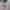 Supreme Vintage Casual Hoody Pria red gray photo 5