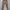 Casual Casual trouser Wanita tan brown photo 1