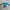 Y2K Grunge Sweater Wanita multicolor blue photo 4