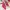 ZARA Luxury Wanita pink photo 1
