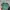 Vintage Streetwear Hat Pria green photo 4