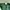 Vintage Streetwear Hat Pria green photo 5