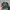 Vintage Streetwear Hat Pria black photo 4