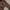 Polo Ralph Lauren Gorpcore Sportswear Parka Pria brown photo 5