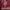 Luxury Muslim Casual dress Wanita gold red photo 2