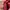 FUCT Vintage Hat Pria burgundy photo 3