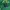 MLB Sportswear Casual Bomber jacket Pria green photo 7