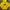 Casual Bomber jacket Wanita yellow photo 1