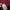 Urban Research Streetwear Casual T-shirt Pria burgundy photo 4