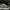 VANS Streetwear Skater Sneakers Pria gray photo 2