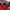 Le Coq Sportif Luxury Sportswear Sweater Pria Red