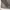 BASIC HOUSE Minimalist Shirt Wanita gray photo 3