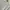 Levi's Casual Casual shirt Pria white photo 5