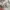 Levi's Casual Casual shirt Pria white photo 6