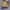 MLB Streetwear Skater Sweatshirt Pria multicolor photo 2