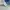 Casual Pea coat Pria blue photo 4