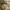 Vivienne Westwood Vintage Streetwear Handbag Wanita tan brown photo 3