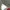 Casual Hoody Pria white photo 1
