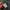 thisisneverthat Streetwear Casual Parka Pria multicolor photo 5