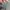 thisisneverthat Streetwear Casual Parka Pria multicolor photo 4